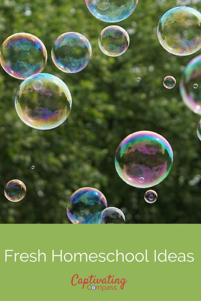 image of bubbles with text overlay Fresh Ideas for Homeschool