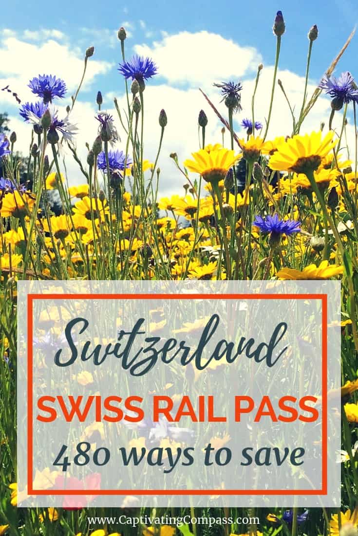 image of meadow with wild flowers wth ext overlay 480 wasy to save in Switzerland with the Swiss Rail Pass