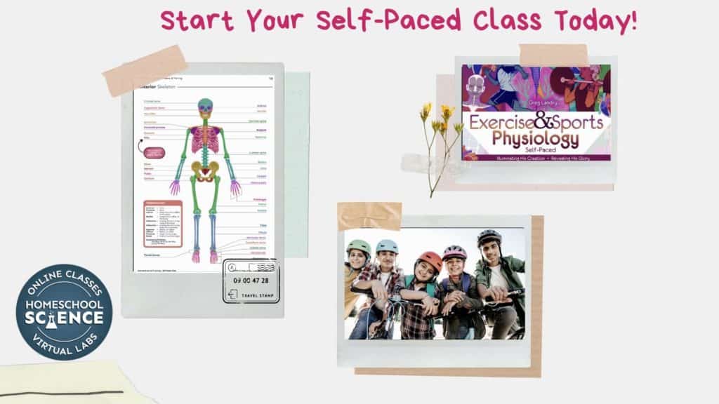 image of Anatomy & sprots Physiology course reviewed by captivatingcompass.com