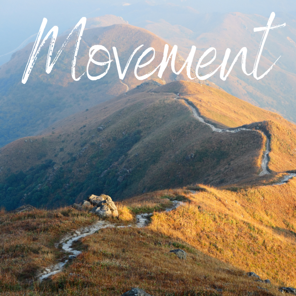 image with text overlay: Movement.  Let's Study 5 Themes of World Geography from captivatingcompass.com I’ll show you some awesome resources so you can teach geography and make it fun.