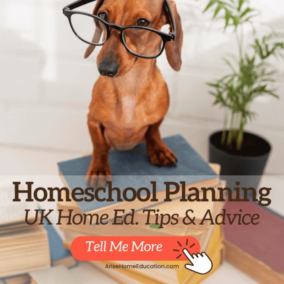 imGE OF DOG WITH GLASSES STANDIN GON BOOKS WITH TEXT OVERLAY HOMESCHOOL PLANNING